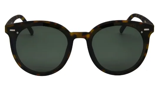 ISea Sunglasses-Assorted Styles