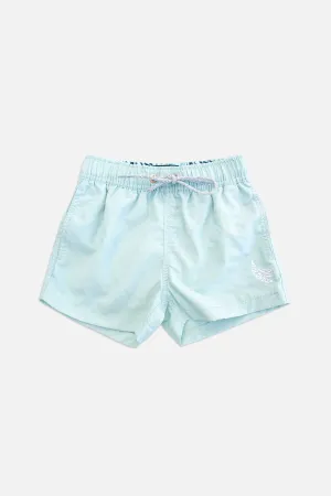 Sky Blue Boys Swim Trunks